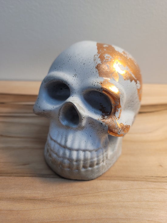 Sheryl Blois Concrete Skulls
